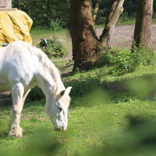 Gite coeur nature à saumur