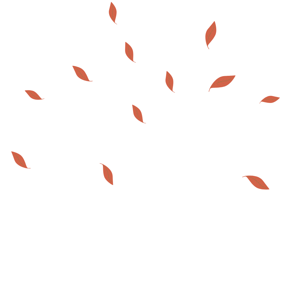 Gite-L'Appel-de-la-forêt