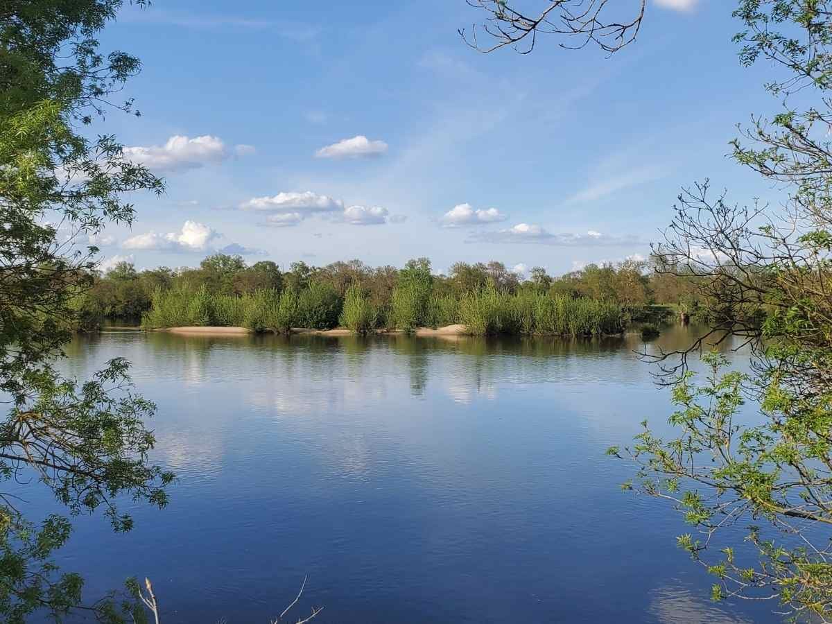 Vue automnale de la Loire en Septembre