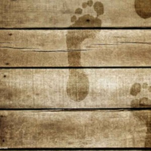 Vacances avec piscine à Saumur