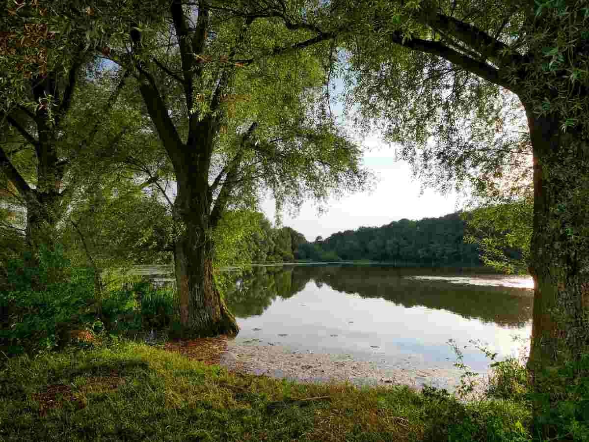 gite avec rando à saumur le long d'un lac