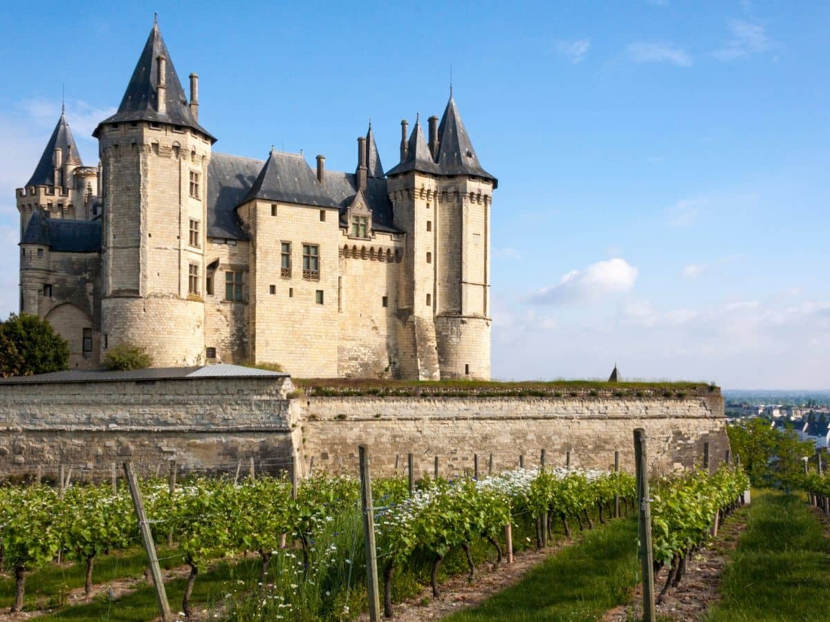 Randonner dans les vignes à Saumur