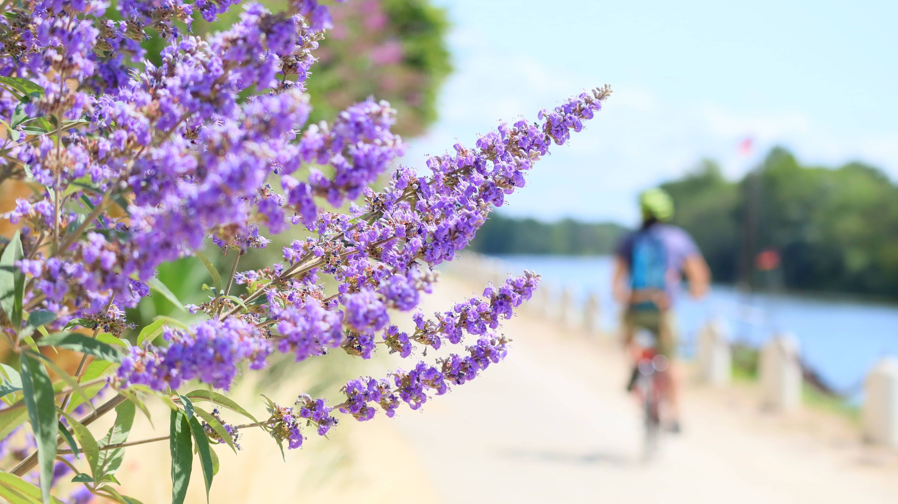 Loire à vélo & vélo Francette